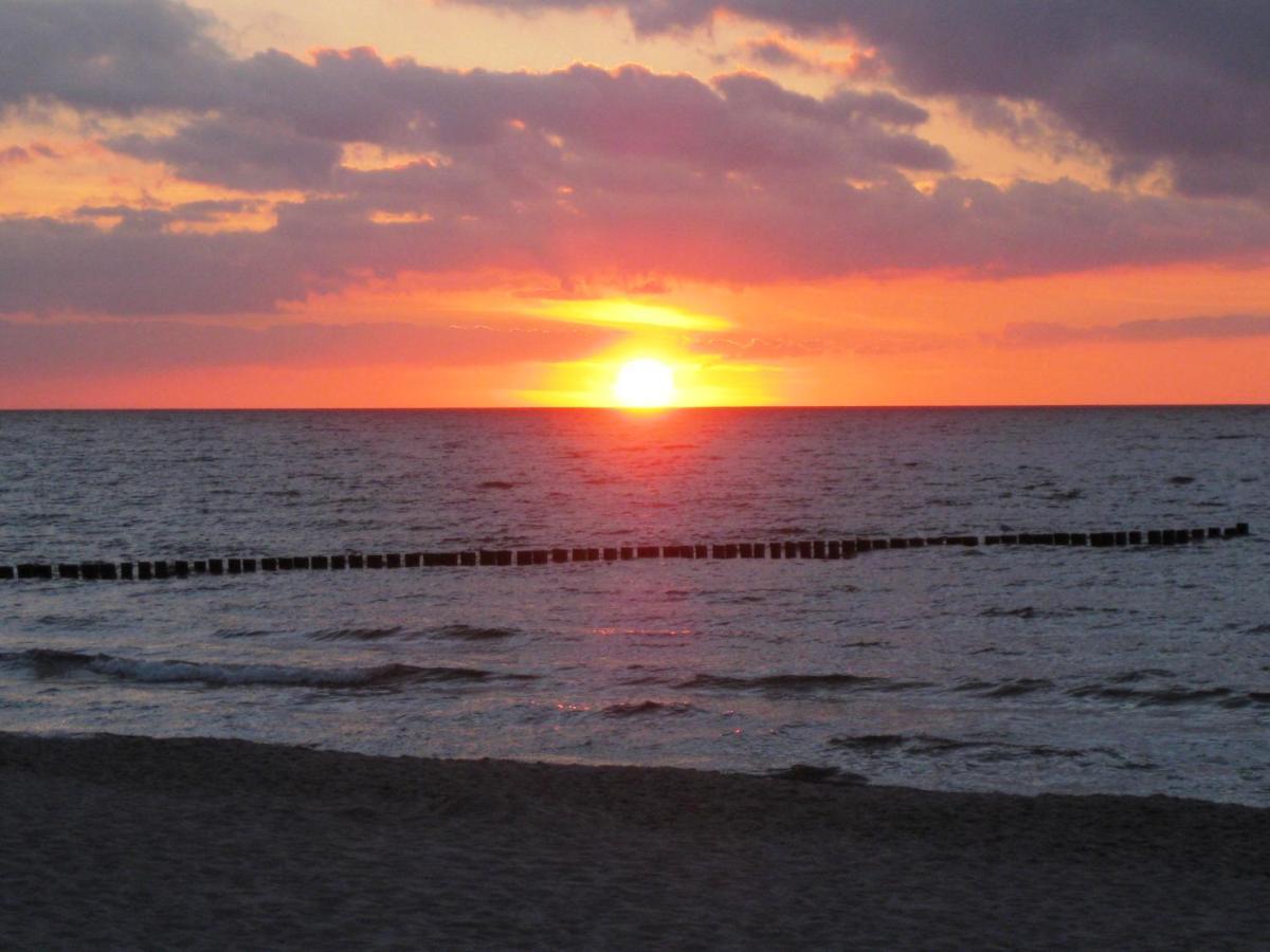 Residenz Am Strand Wohnung 1-17 Zingst Exteriör bild